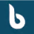 Big Think Capital logo