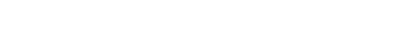 Bizpoint Capital logo