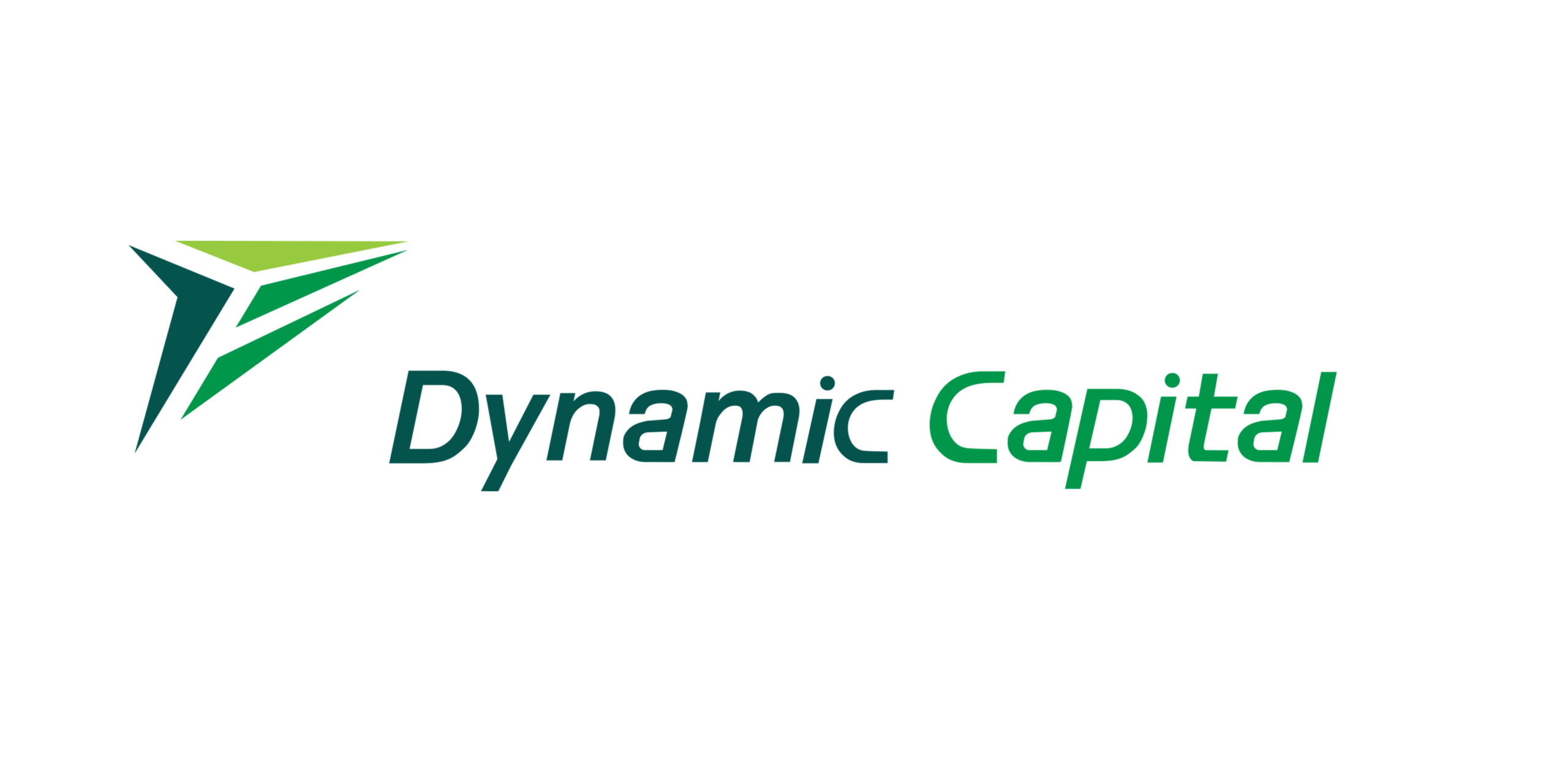 Dynamic Capital logo