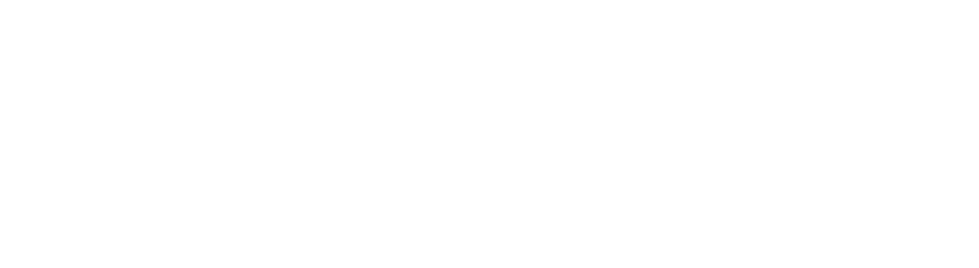 Pirs Capital logo
