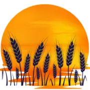 SeaCoast Financial logo